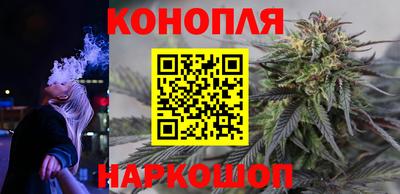 прущие грибы Конаково