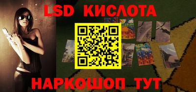 прущие грибы Конаково